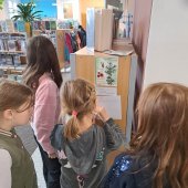 Knihovna_Žamberk_1a2a3_2023