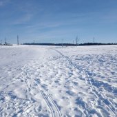 Telesna_vychova_na_snehu_1a2_2023