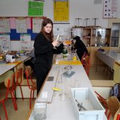 Vanocni_stromy_chemie_8a9_2022